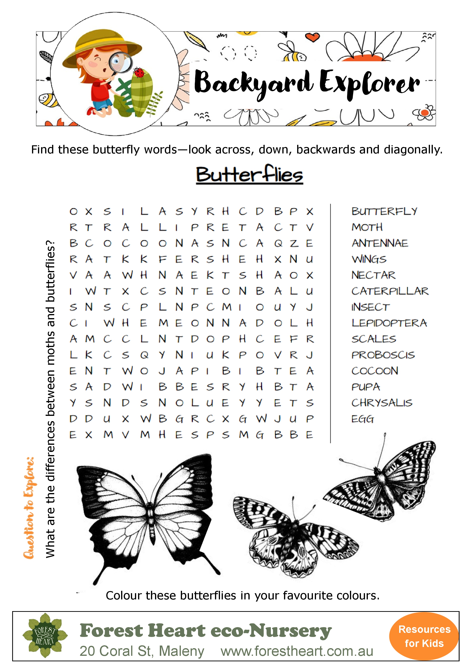 backyard-explorer-butterfly-wordsearch-forest-heart-eco-nursery